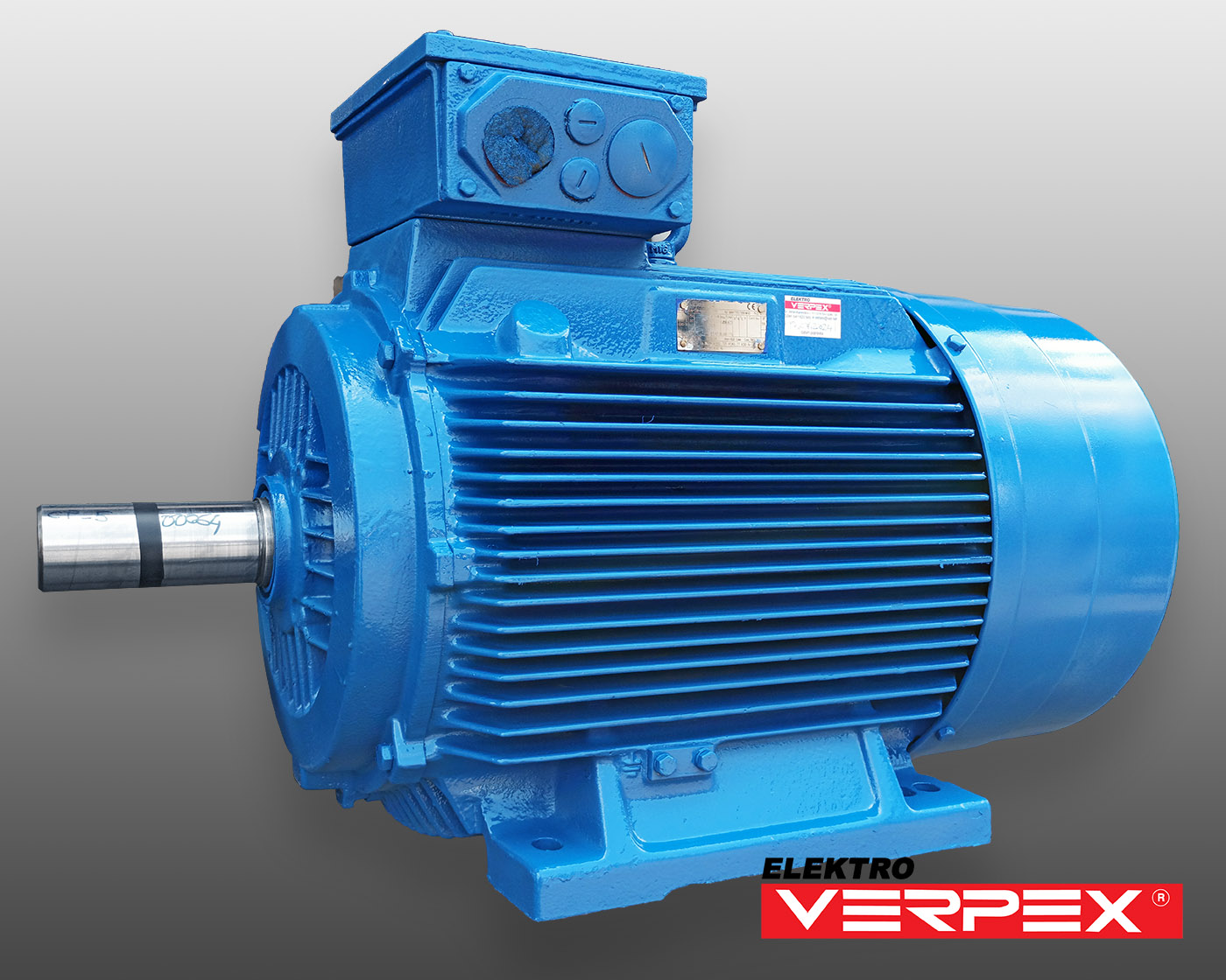 elektromotor_servis_previtje_elektro_verpex_domzale_previjanje_elektromotorjev_servis_elektromotorjev_potopne_vodnjaske_crpalke_prodaja_delavnica_5746