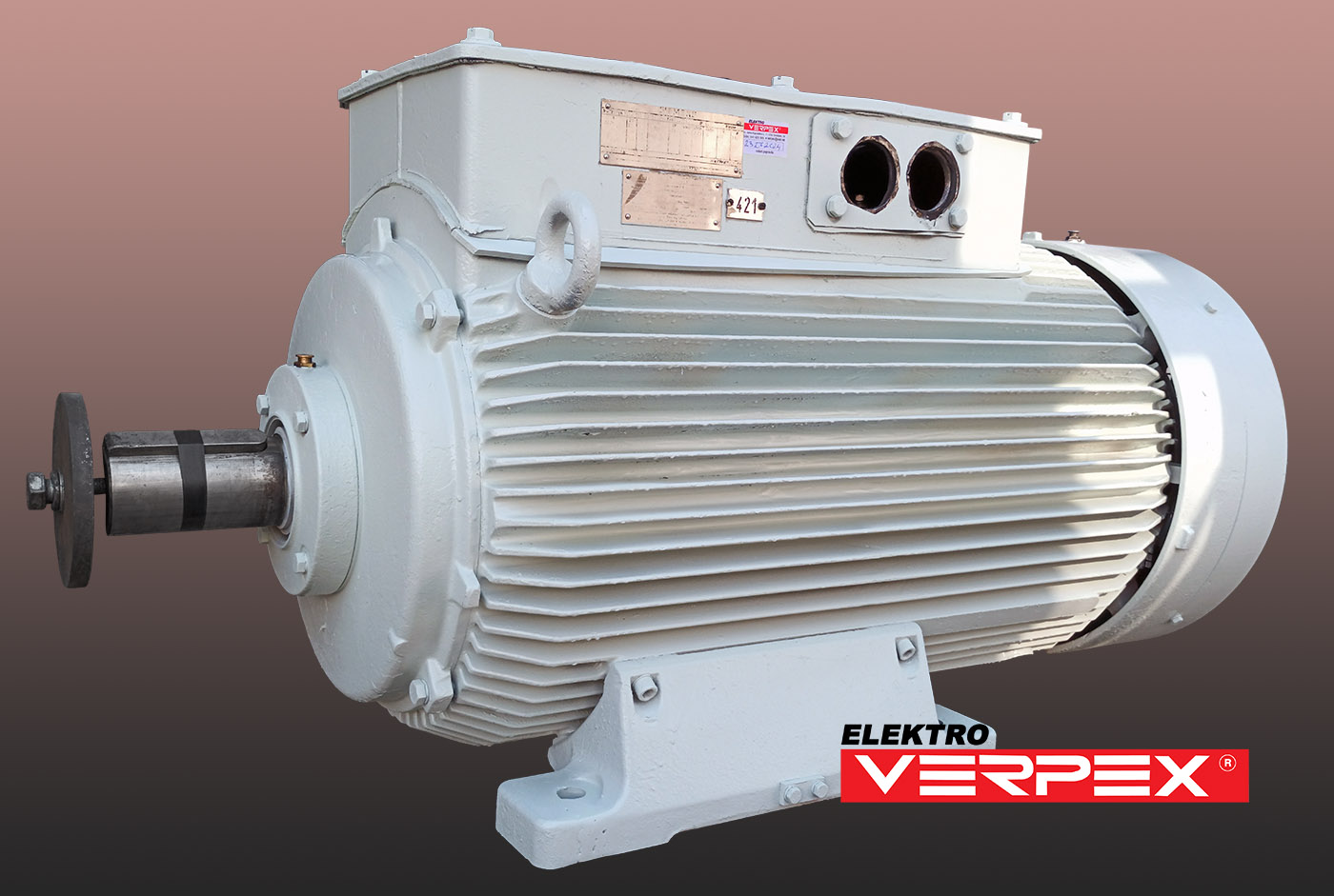 elektromotor_servis_previtje_elektro_verpex_domzale_previjanje_elektromotorjev_servis_elektromotorjev_potopne_vodnjaske_crpalke_prodaja_delavnica_574611